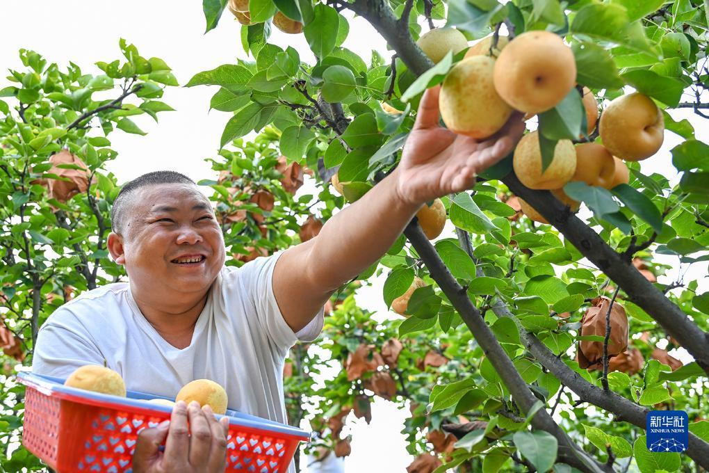 自助体验金8-88网站
